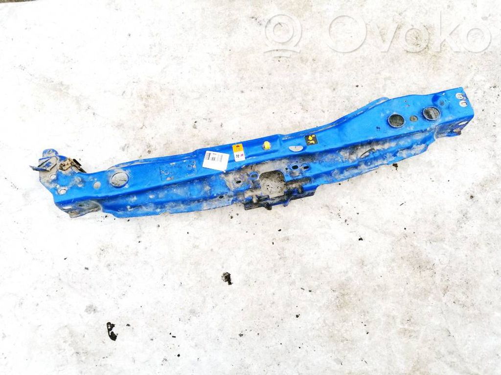 Ford Transit Radiatorių panelė 