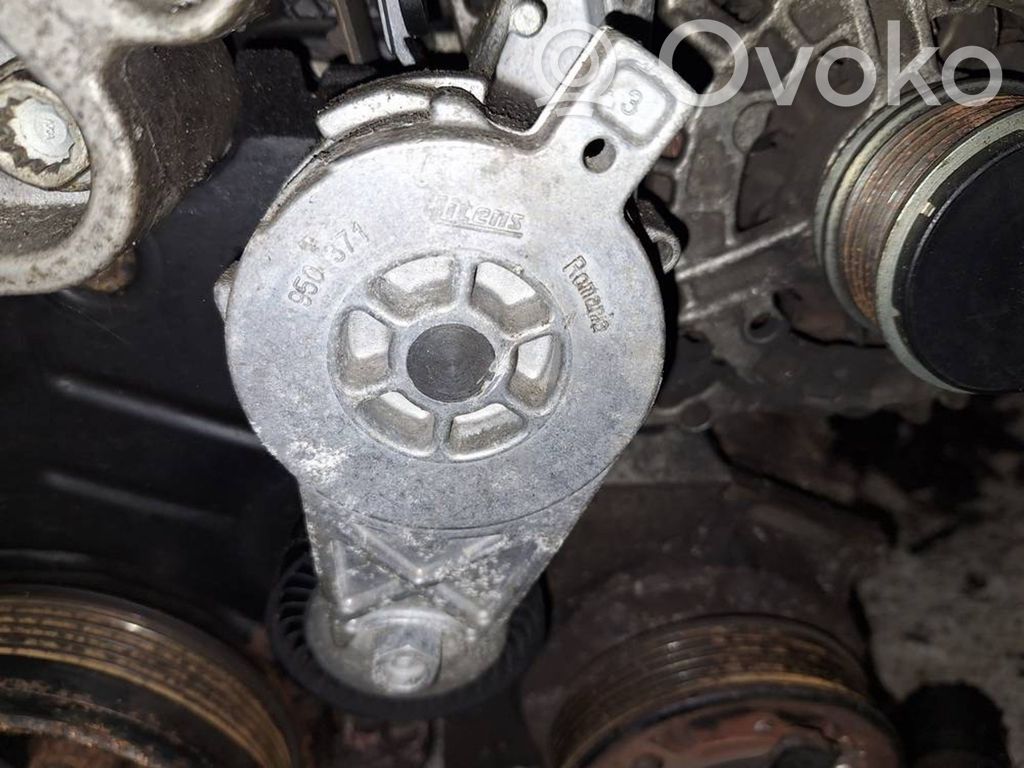 Volkswagen PASSAT B6 Întinzător curea generator/alternator 