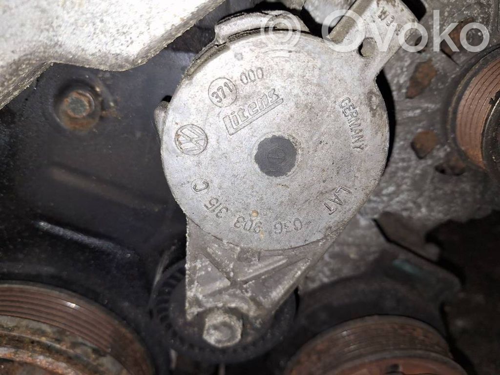 Volkswagen PASSAT B6 Întinzător curea generator/alternator 
