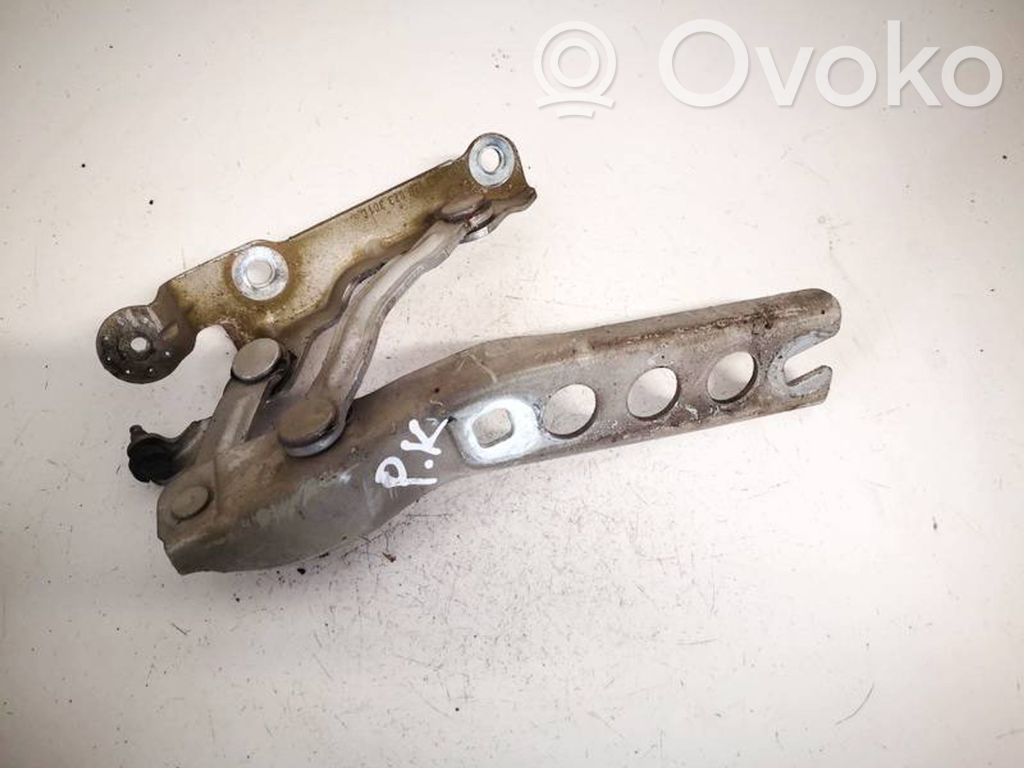 Skoda Octavia Mk2 (1Z) Cerniere del vano motore/cofano