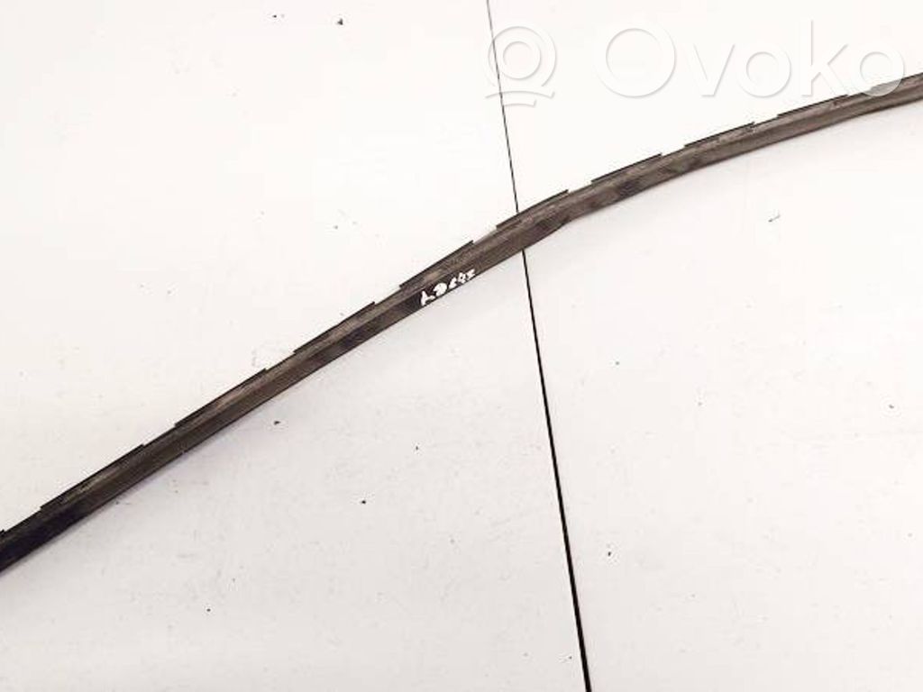 Opel Zafira B Rivestimento modanatura del vetro della portiera anteriore 