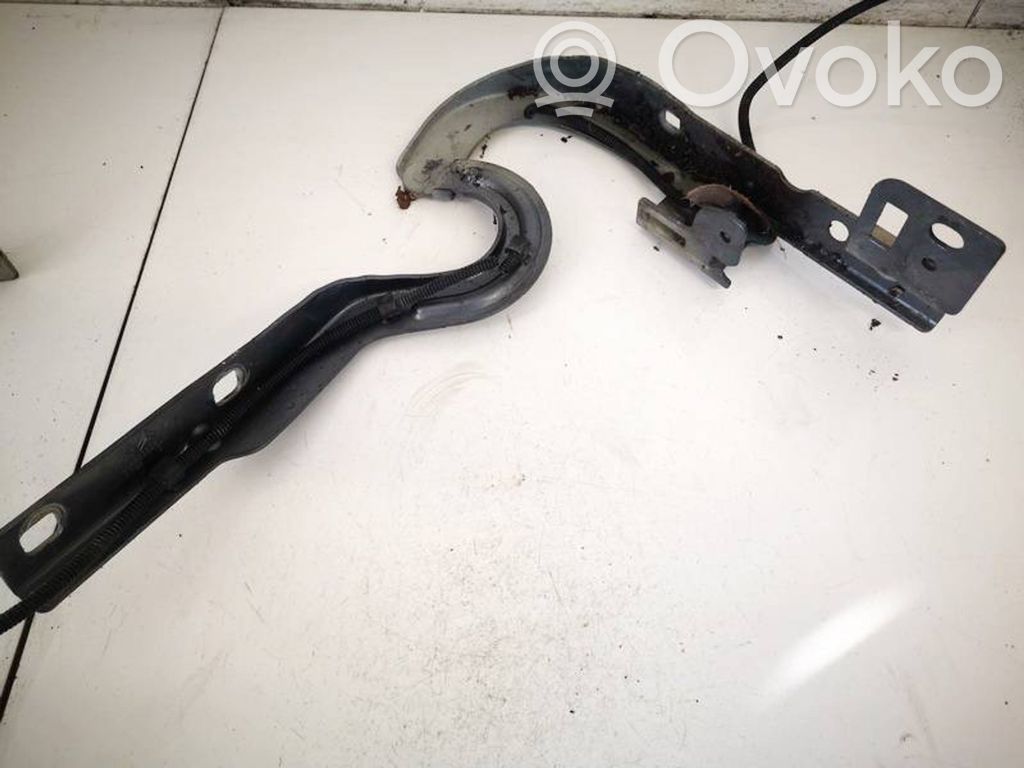 Peugeot 3008 I Cerniere del vano motore/cofano