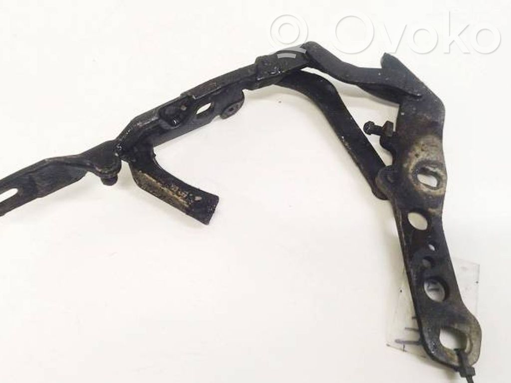 Cerniere del vano motore/cofano   3411447,341144700,3411447,341144700