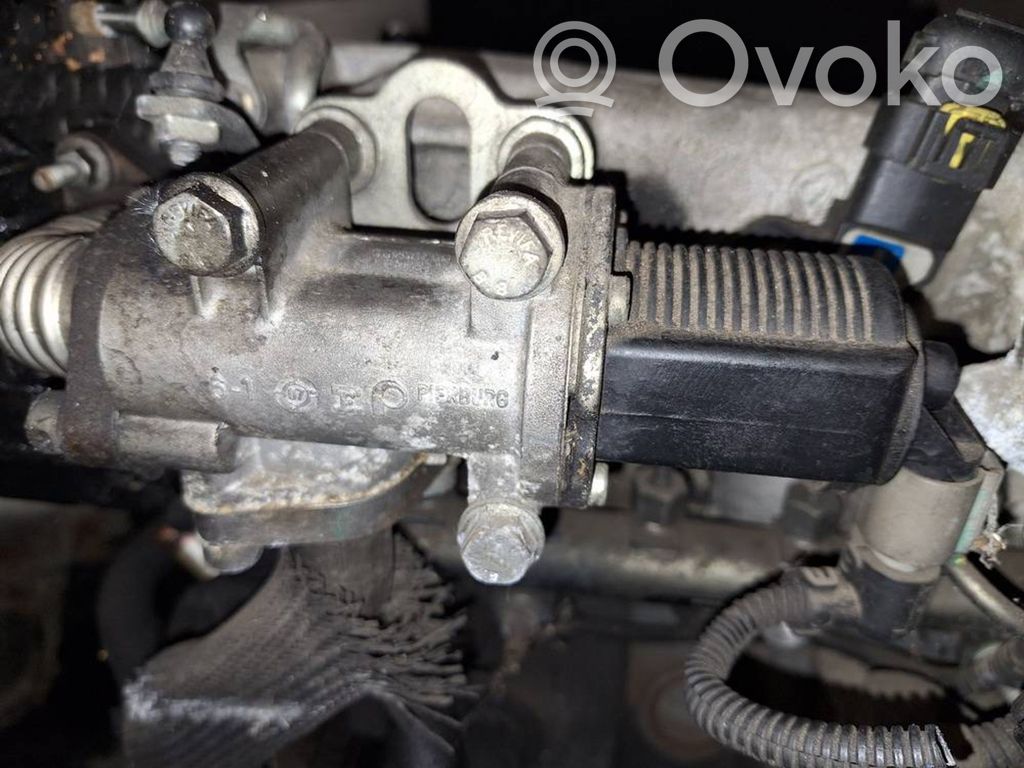 EGR-venttiili   55205455,55205455