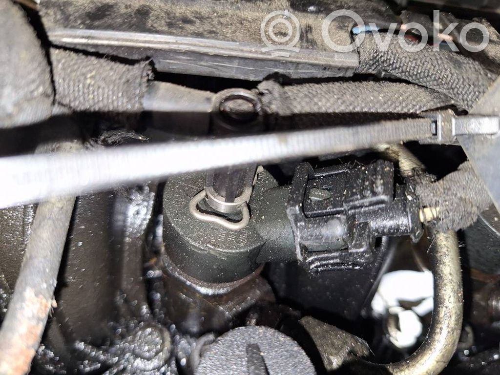 Peugeot 307 Injector combustibil 