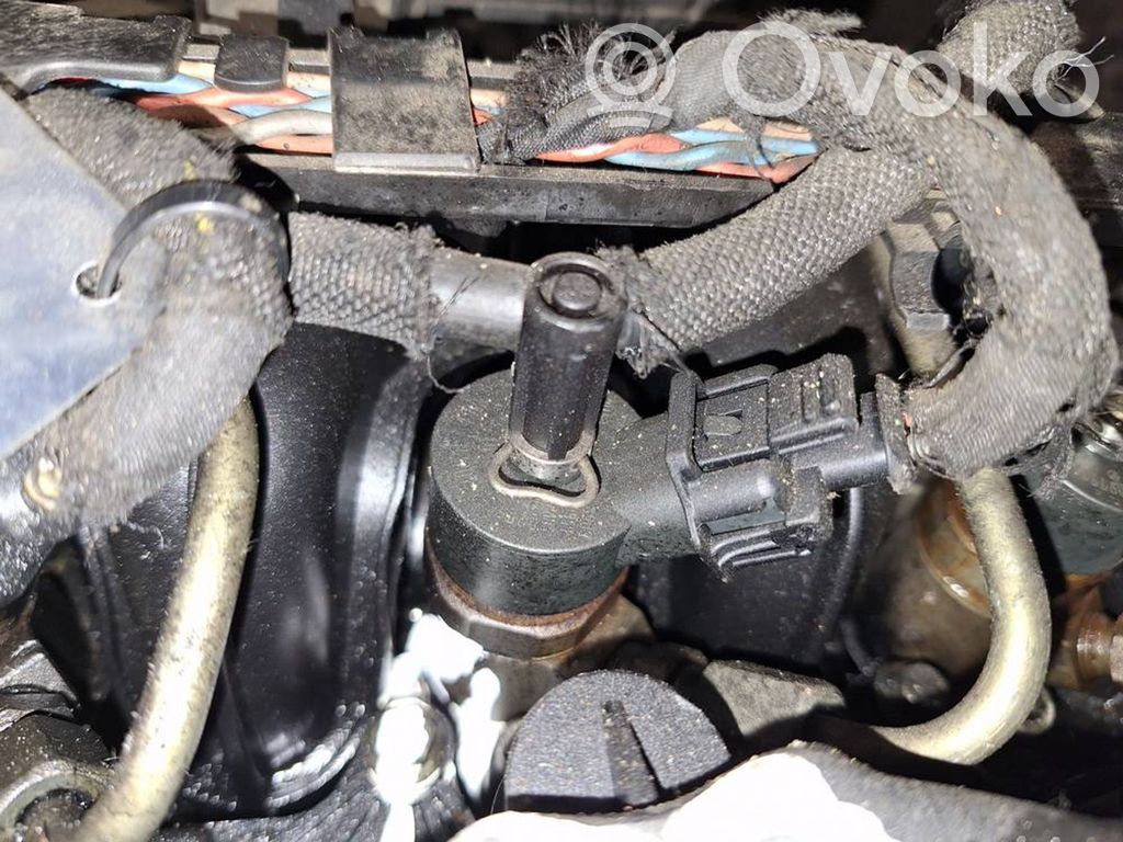 Peugeot 307 Injector combustibil 