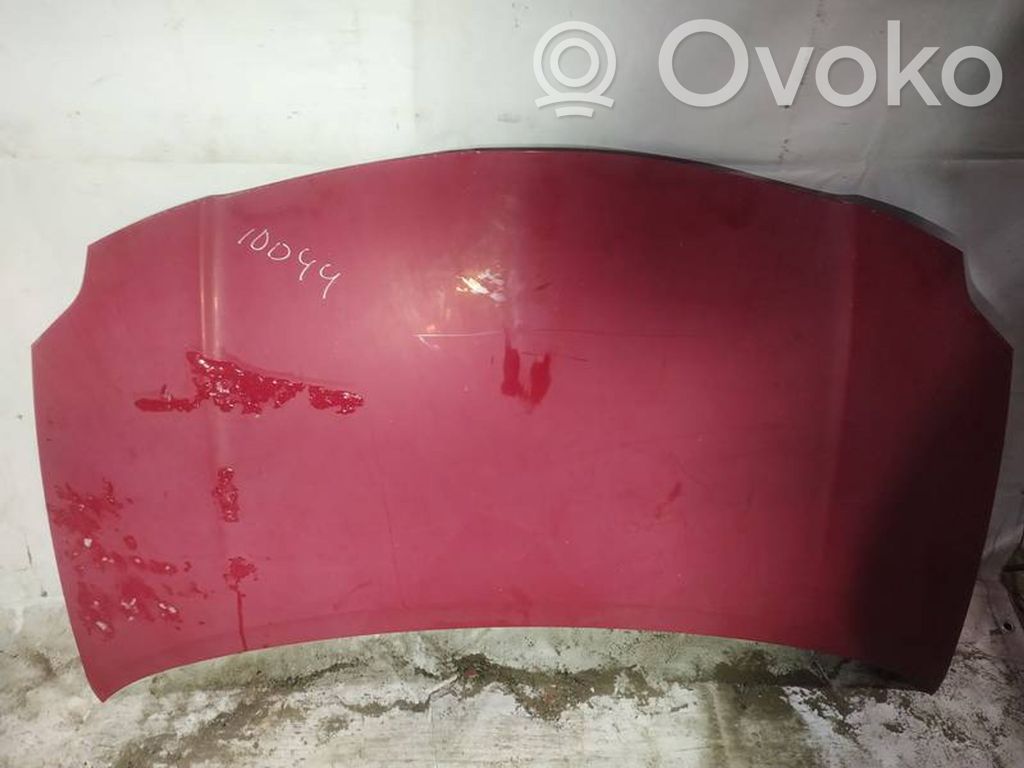 Vano motore/cofano   RAUDONAS,RAUDONAS