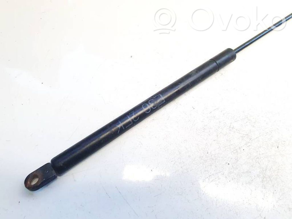 Tailgate/trunk strut/damper   8184960280N,8184960280N