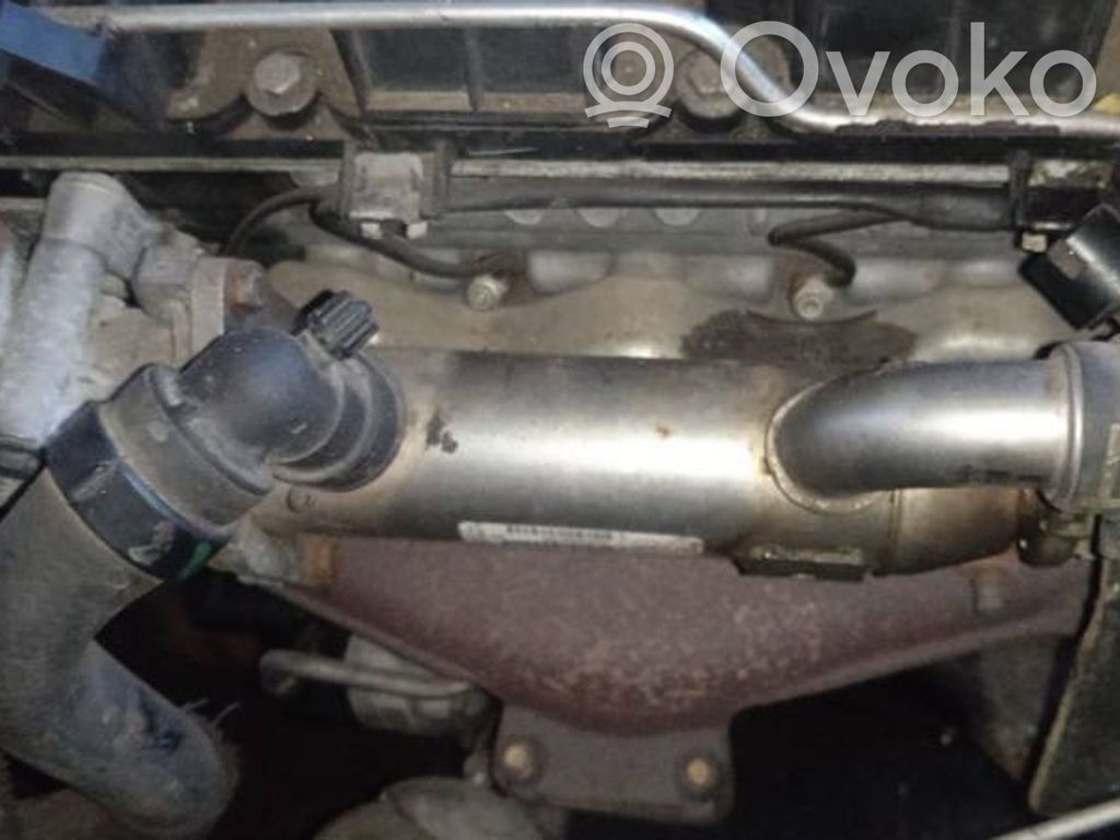 Citroen C5 Valvola di raffreddamento EGR