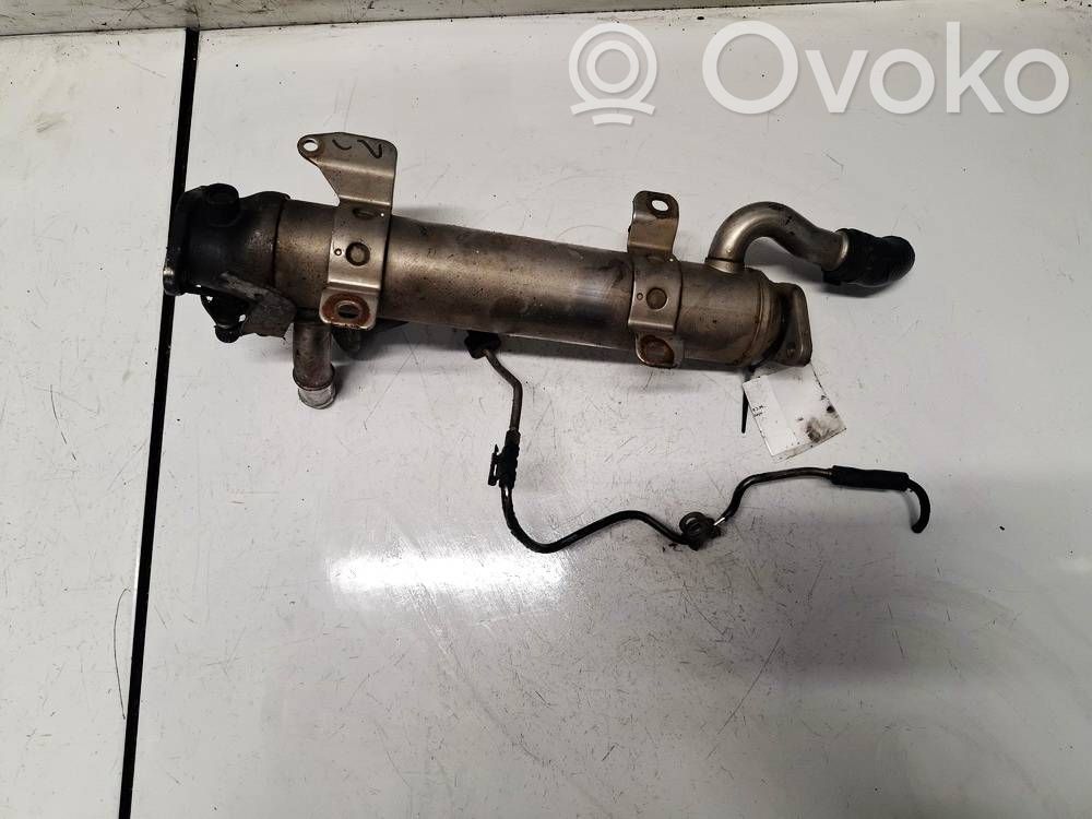 Volkswagen PASSAT B6 Valvola di raffreddamento EGR