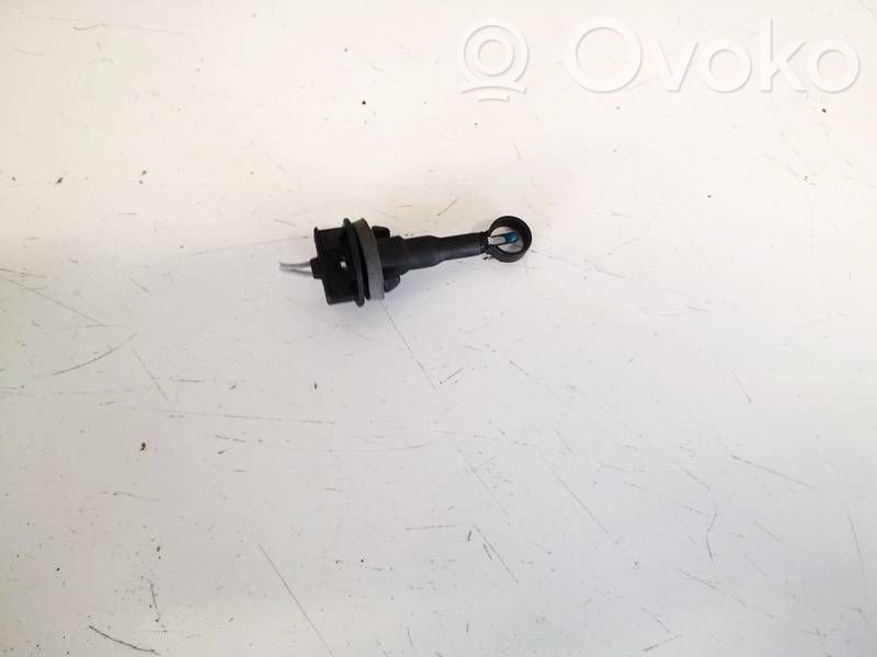 Sensore temperatura interna   006667V,006667V