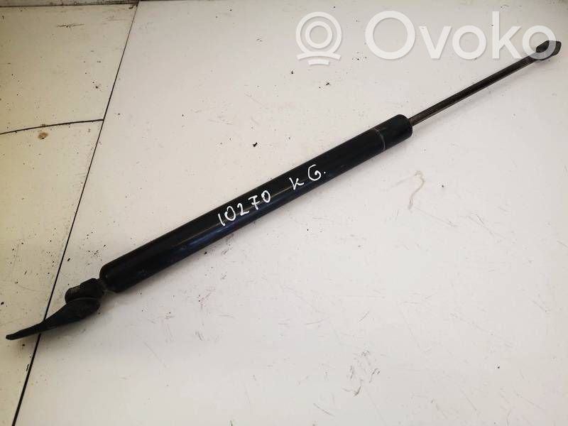 Tailgate/trunk strut/damper
