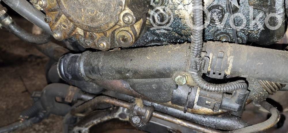 Volkswagen Touran I Tubo flessibile del liquido di raffreddamento del motore