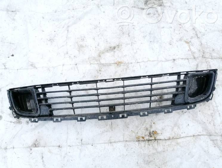 Citroen C5 Mascherina inferiore del paraurti anteriore 