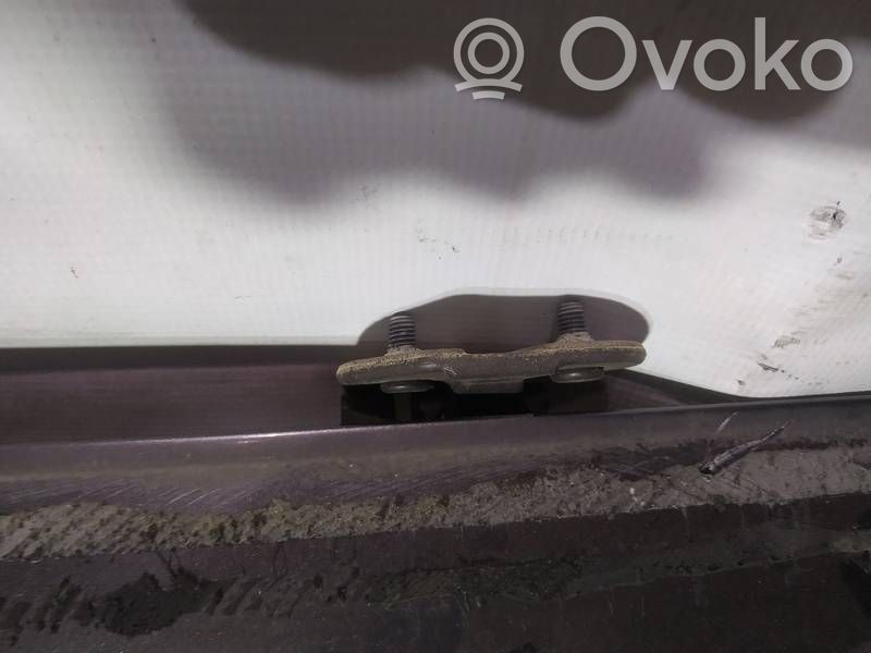 Tailgate/trunk/boot hinge