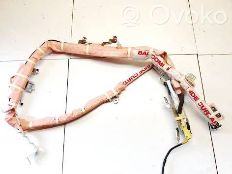 Airbag del techo   1025473,1025473