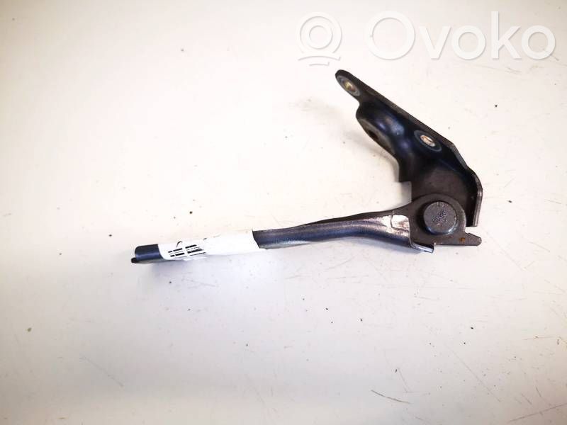 Audi A3 S3 8L Balamale capotă 