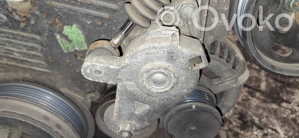 Audi A3 S3 8L Tendicinghia generatore/alternatore