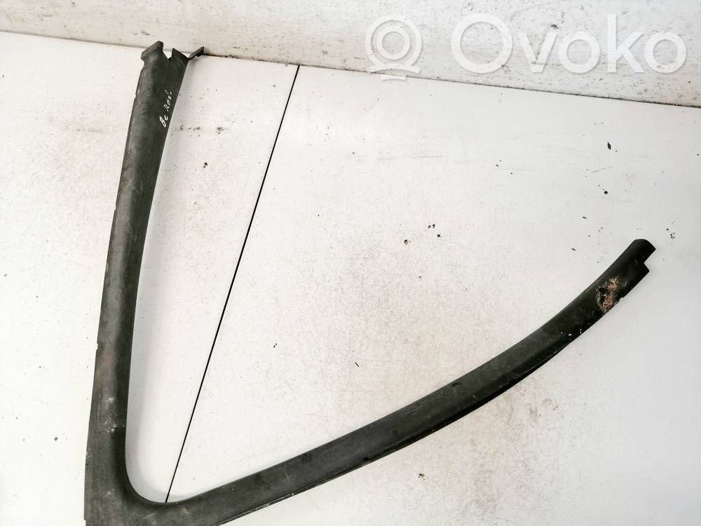 Renault Scenic II - Grand scenic II Rivestimento modanatura del vetro della portiera anteriore