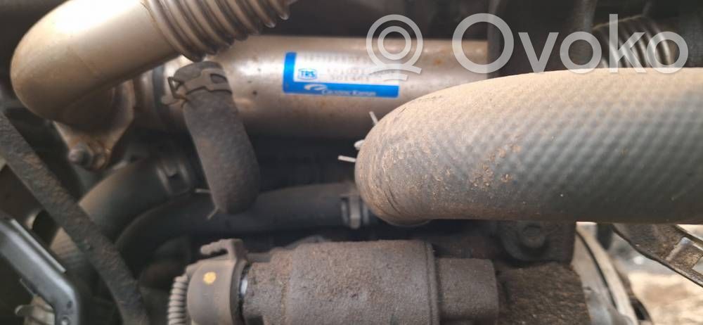 Honda Accord Refroidisseur de vanne EGR 