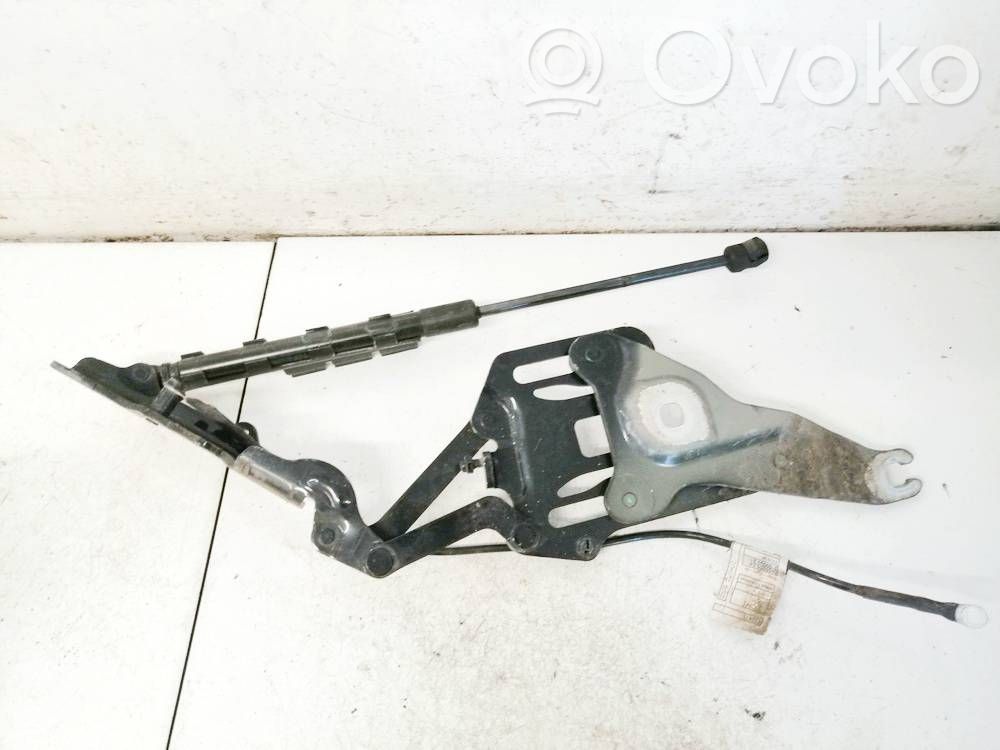 BMW X5 E70 Cerniere del vano motore/cofano