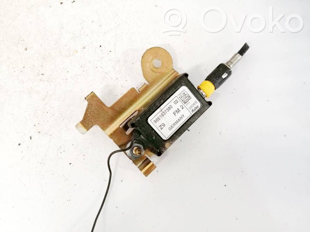 Peugeot 607 Centralina antenna