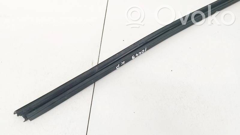 Renault Laguna III Moulure de vitre de la porte avant