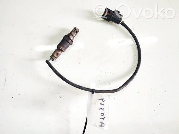 Sonde lambda