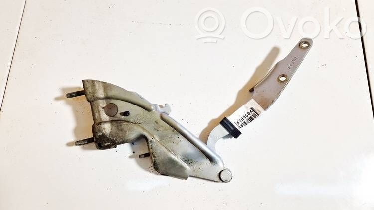 Fiat Bravo - Brava Engine bonnet/hood hinges