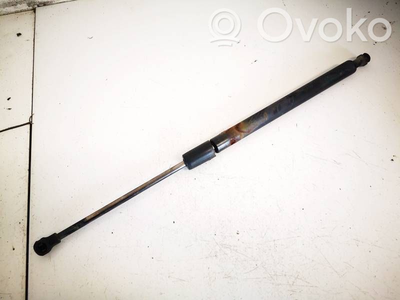 Citroen C3 Tailgate/trunk strut/damper 