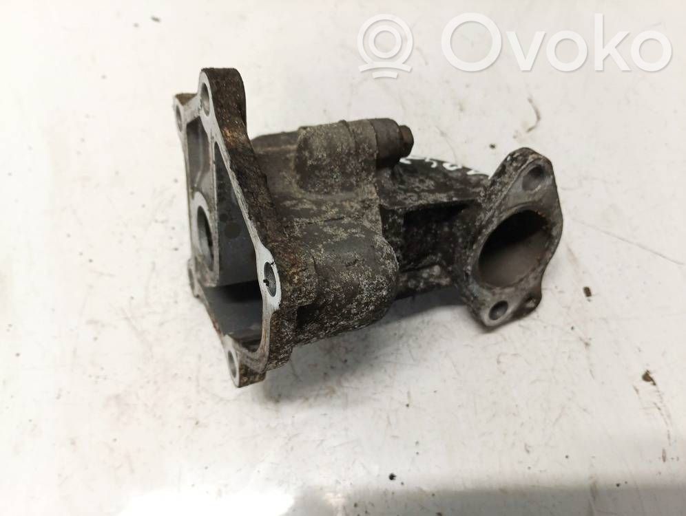 Nissan Almera Tino Przewód / Wąż chłodnicy 