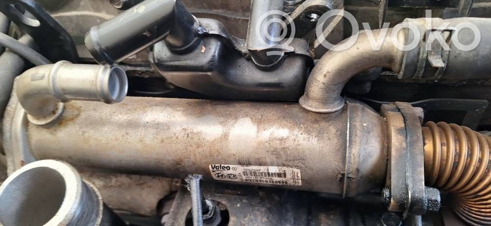 Hyundai Santa Fe Răcitor supapă EGR 