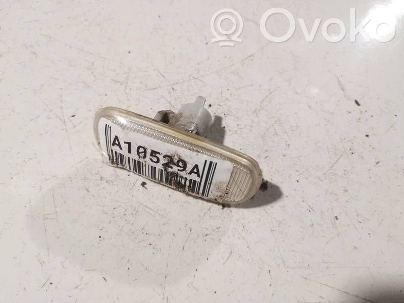 Front fender indicator light