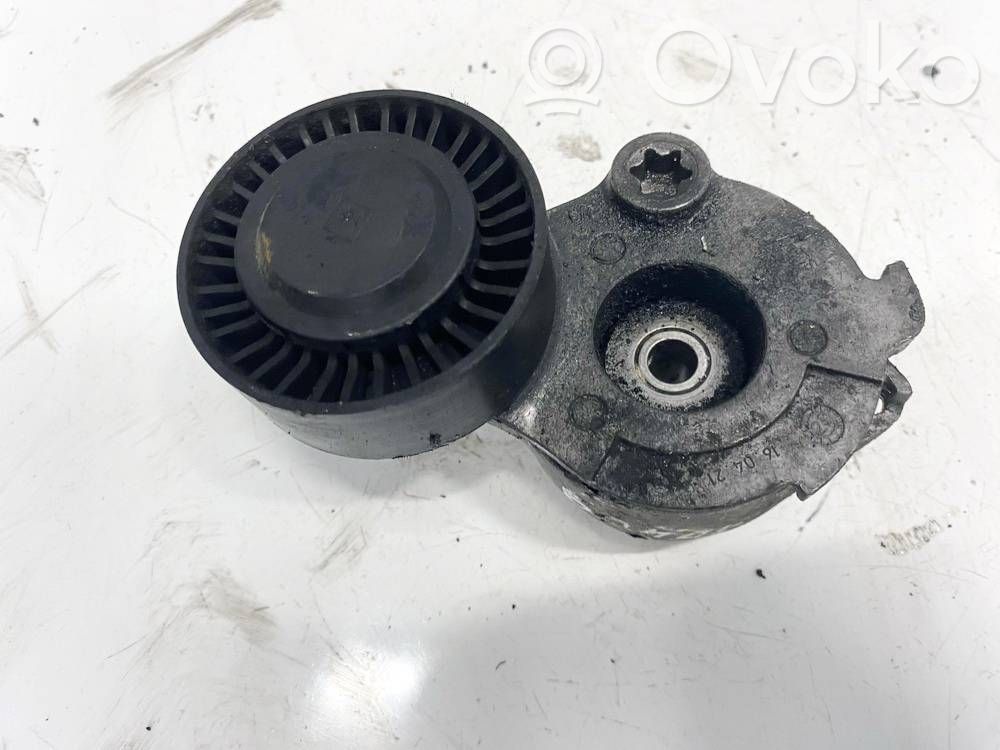 Tensor de correa del alternador   F607210,F607210