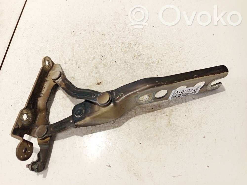 Skoda Octavia Mk2 (1Z) Cerniere del vano motore/cofano