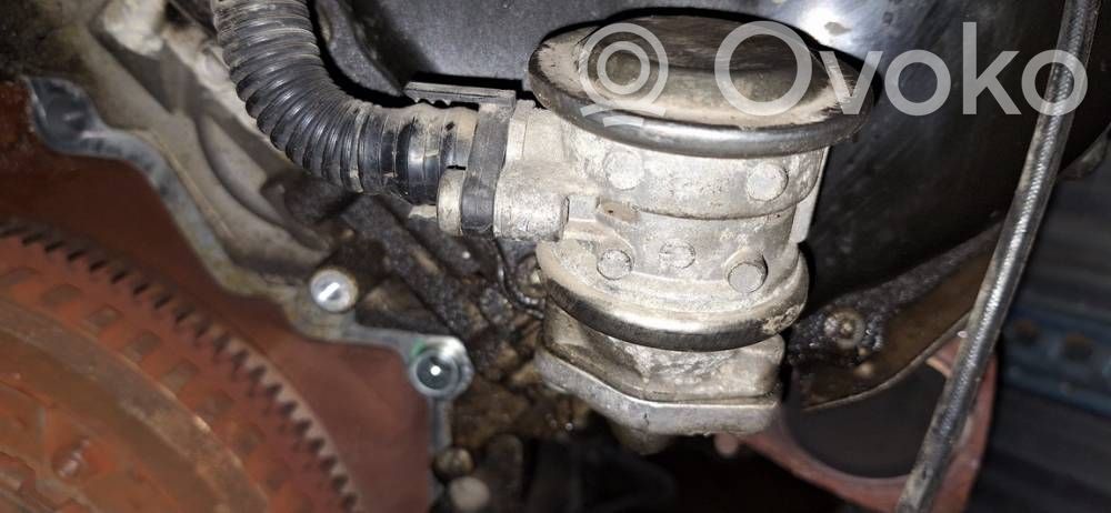 Audi A6 S6 C6 4F Zawór EGR 