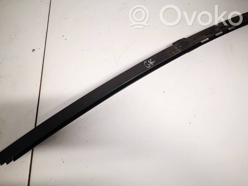 Opel Insignia A Listwa / Uszczelka szyby drzwi tylnych 