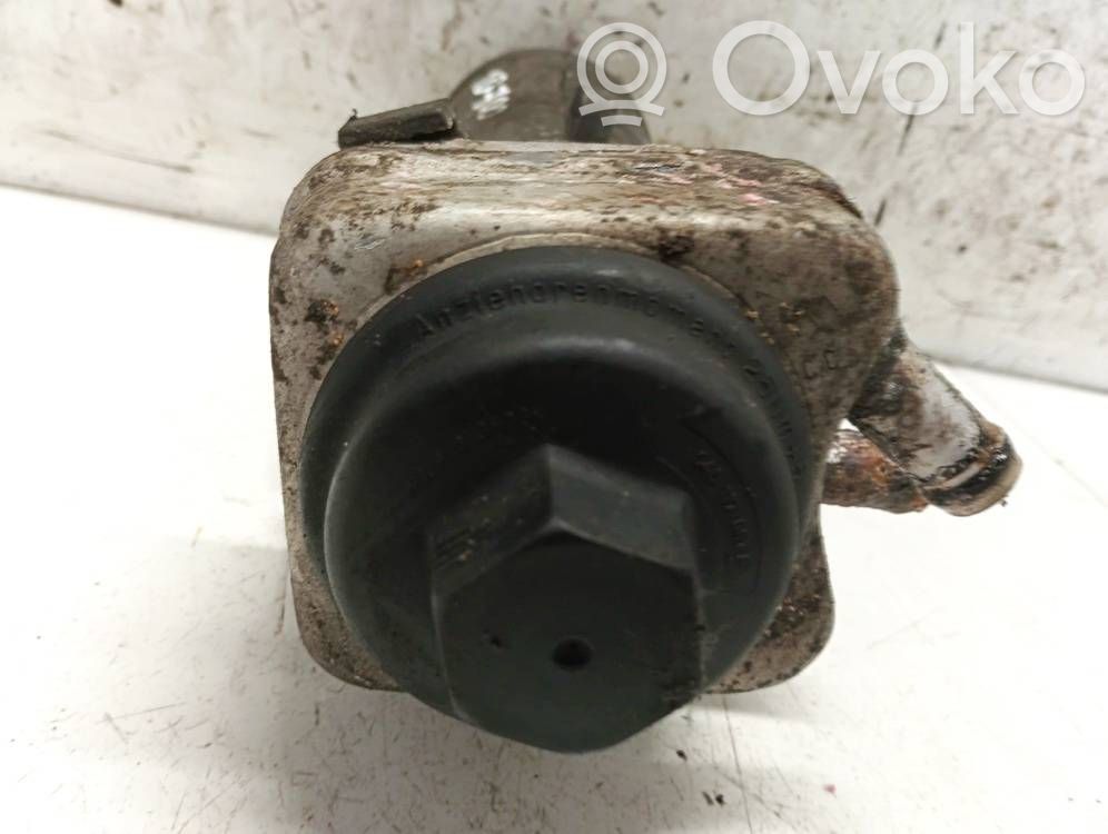 Volkswagen Polo IV 9N3 Radiator ulei motor