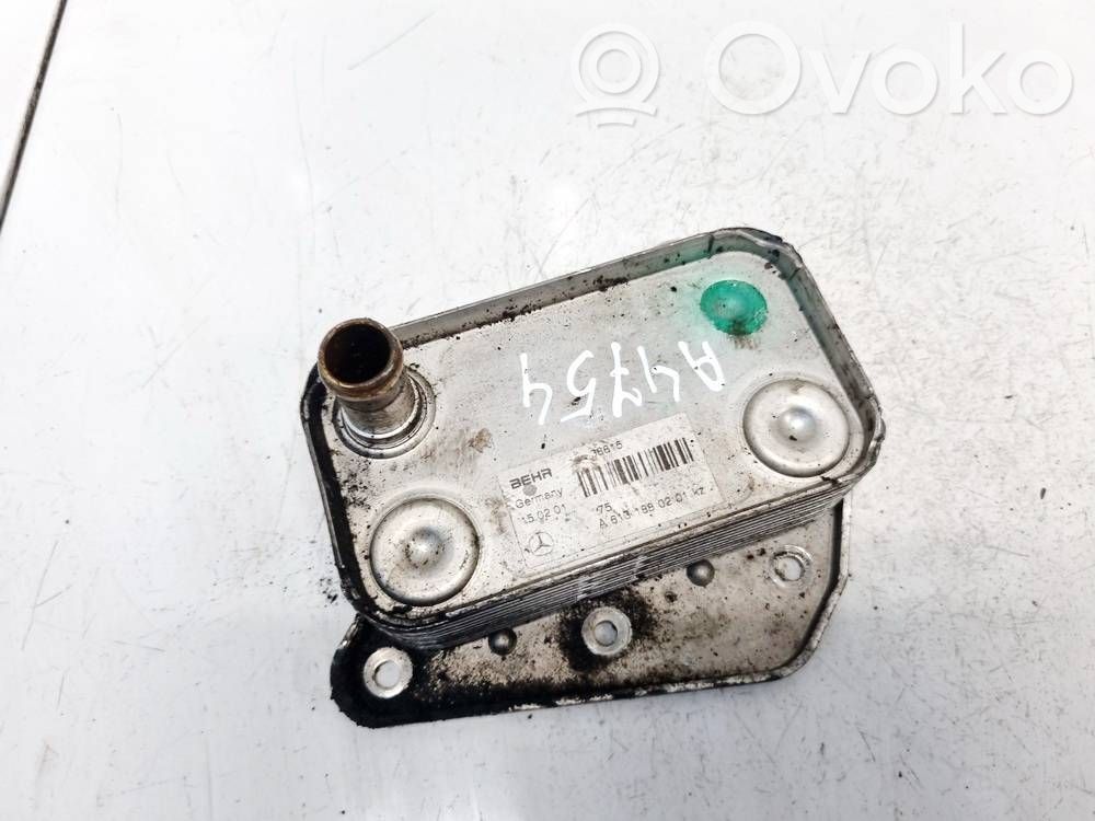 Mercedes-Benz S W220 Radiatore dell’olio del motore 
