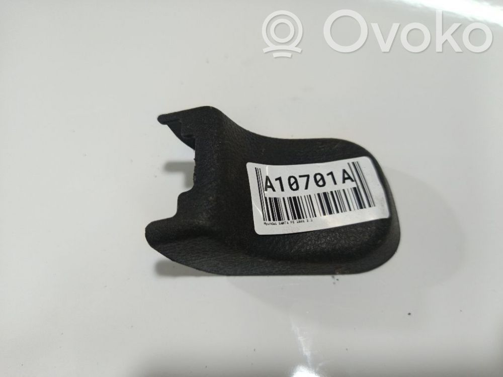 Hyundai Santa Fe Altra parte interiore 