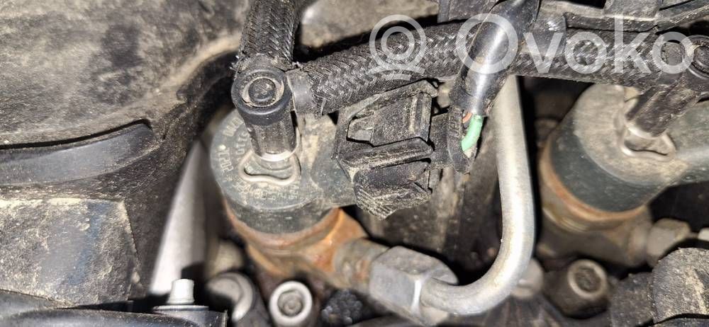 Inyector de combustible   0445110259,0445110259