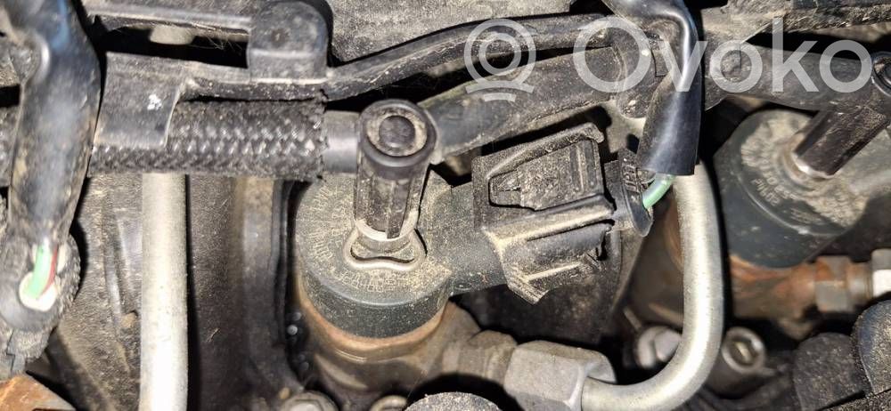 Inyector de combustible   0445110259,0445110259