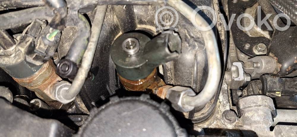 Inyector de combustible   0445110259,0445110259