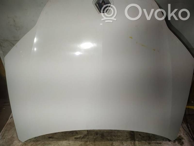 Motorhaube   BALTAS,BALTAS