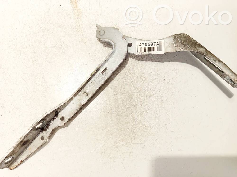 Peugeot 307 Balamale capotă 