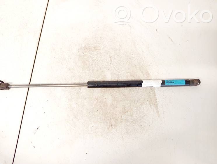 Ford Focus Amortizor hayon 