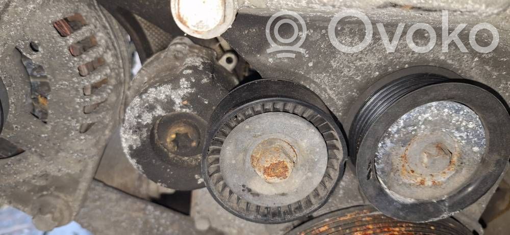 Opel Astra H Napinacz paska alternatora 