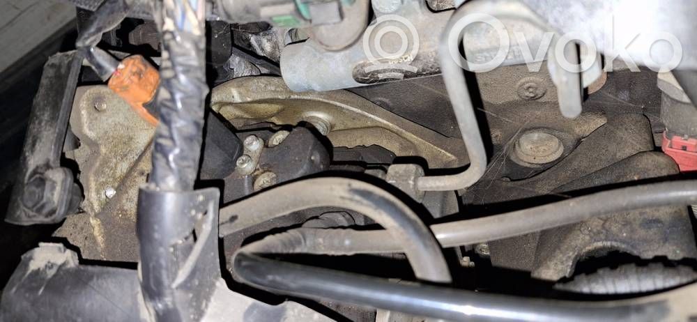 Peugeot 307 Pompa ad alta pressione dell’impianto di iniezione 