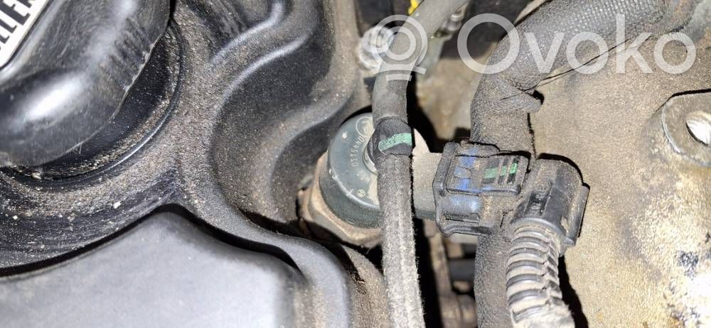 Inyector de combustible   0445110119,0445110119