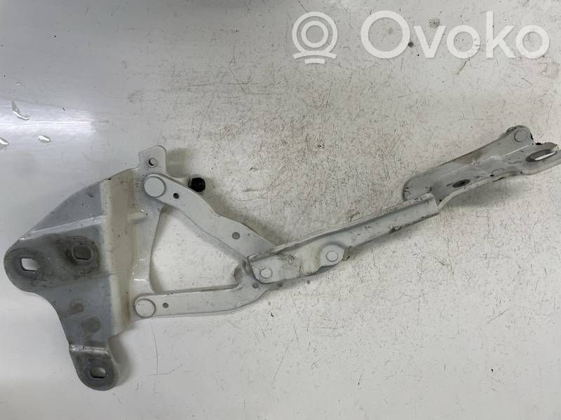 BMW X1 E84 Cerniere del vano motore/cofano 